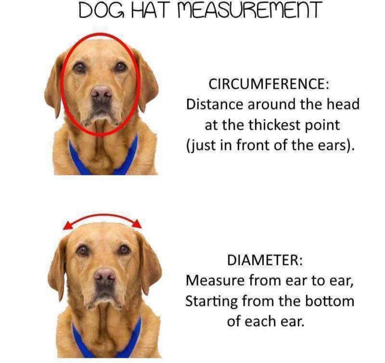 Pets Cap