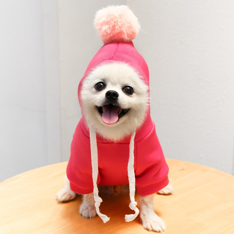 Cute Fruit Outfit for Small Dogs