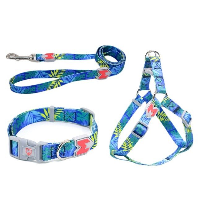 Quick Release Harness with Leash