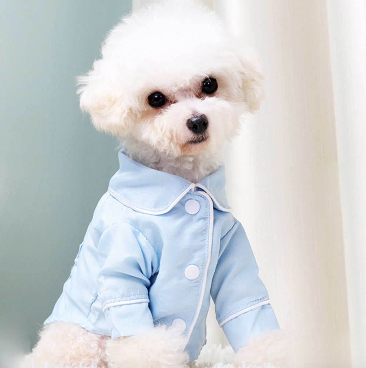 Classic Cotton Pet PJS