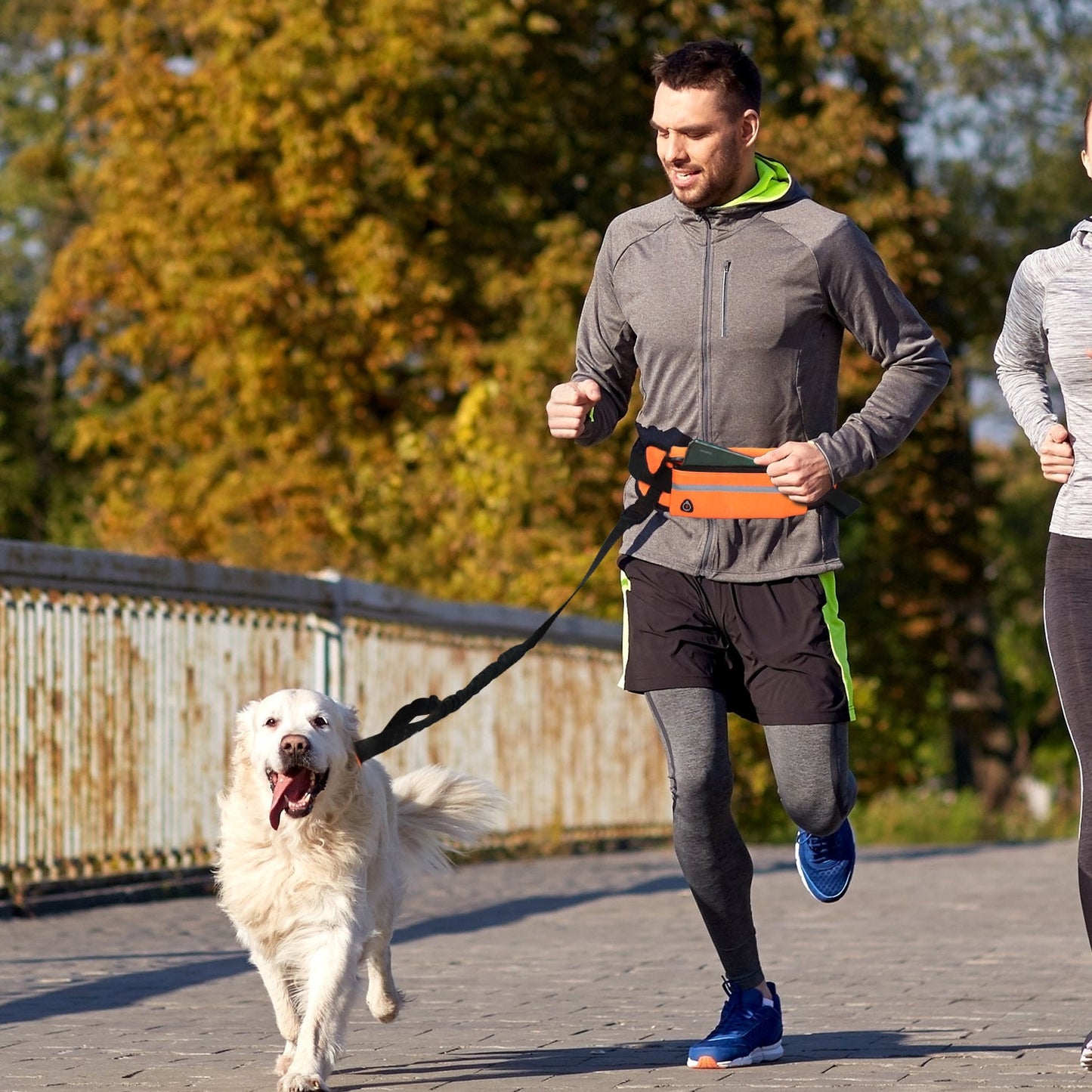 NNEAGS Orange Adjustable Hands-Free Pet Leash Bag Dog Lead Walking Running Jogging Pet Essentials-1