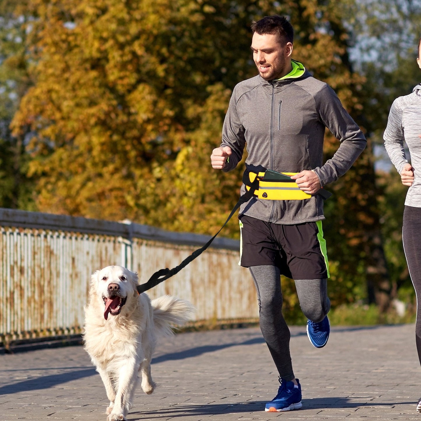 NNEAGS Yellow Adjustable Hands-Free Pet Leash Bag Dog Lead Walking Running Jogging Pet Essentials-1