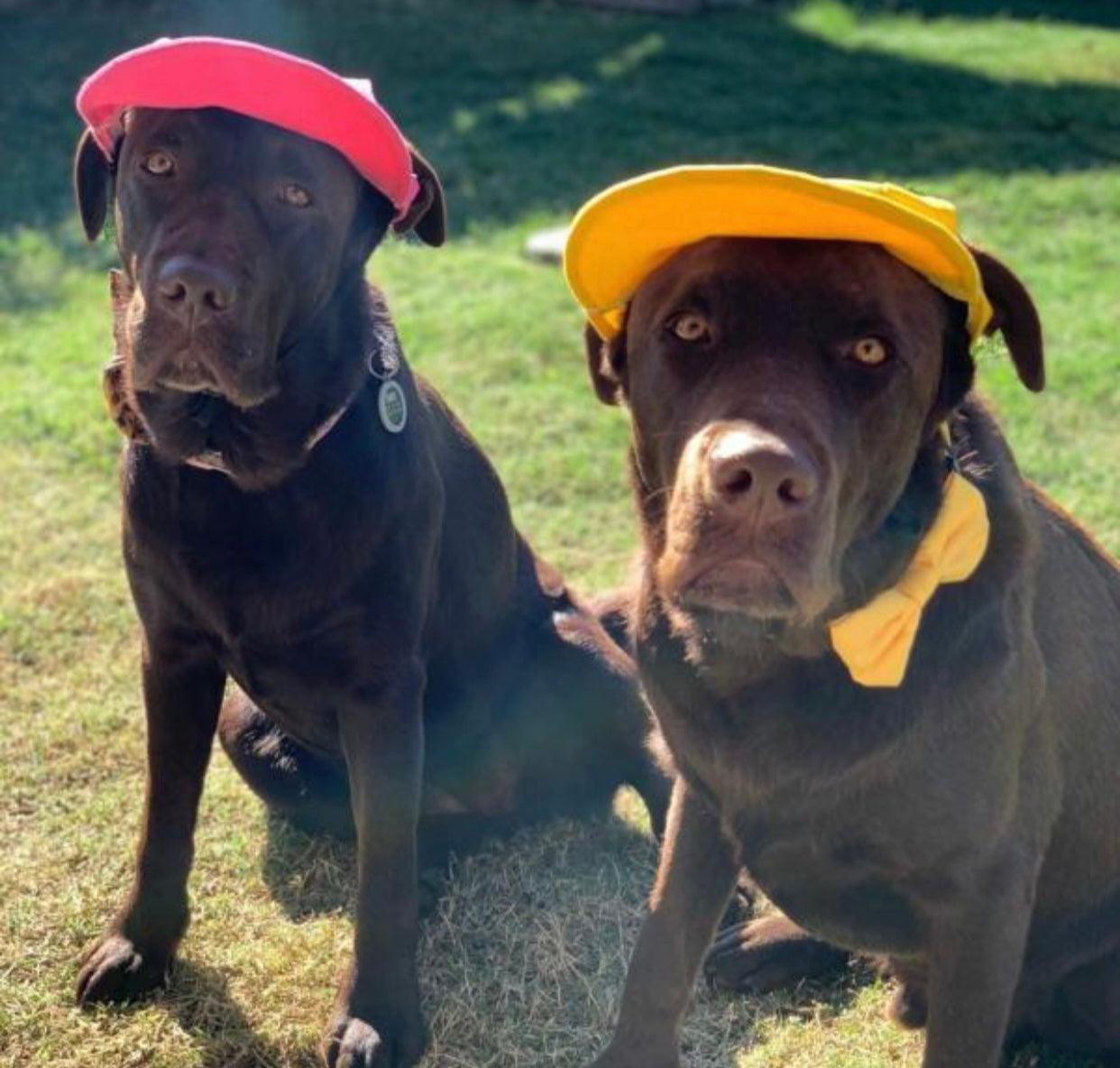 Pets Cap