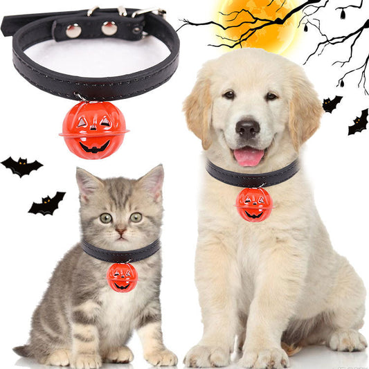 Pumpkin Collar