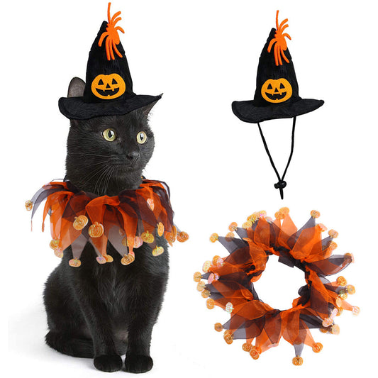 Witch Halloween Pet Cosplay Costume