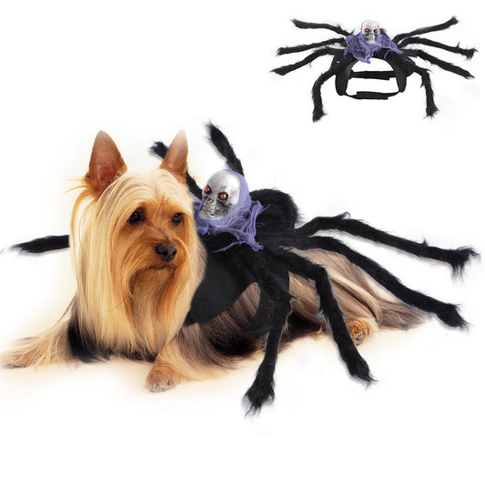 Spider Halloween Pet Cosplay Costume