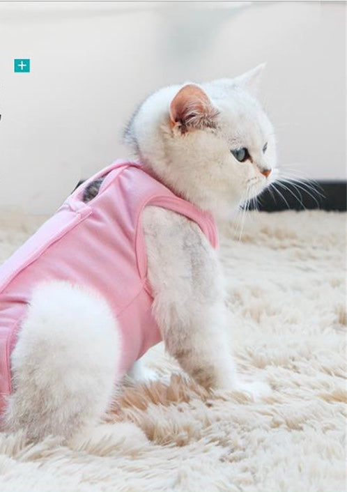 After Spay Surgery Wrap