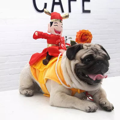 Yeeehawwww Pet Outfit