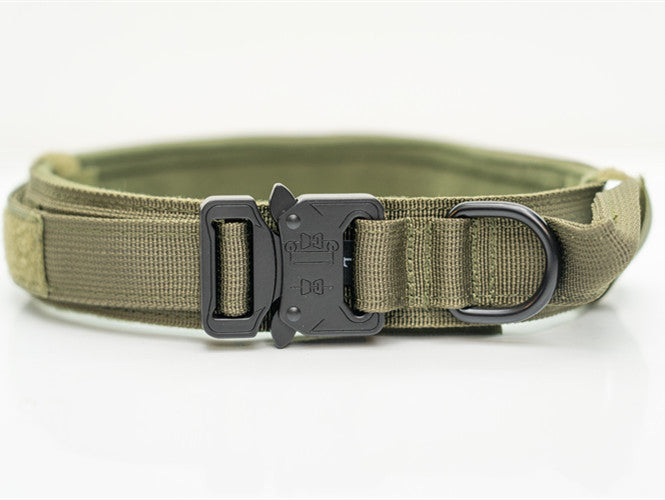 Rugged Nylon Pet Collars