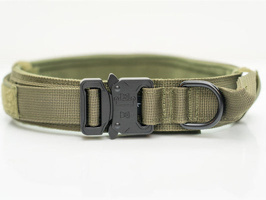 Rugged Nylon Pet Collars