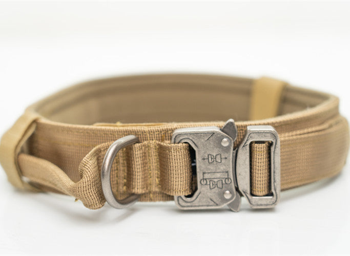 Rugged Nylon Pet Collars