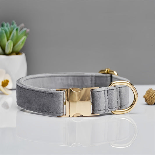 Grey Durable Dog Collar with Metal Buckle Size S