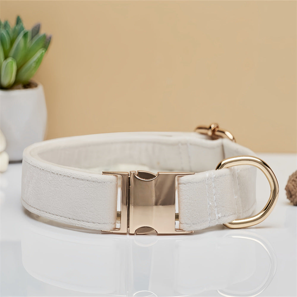Beige Durable Dog Collar with Metal Buckle Size M