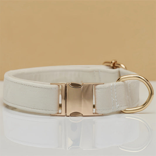 Beige Durable Dog Collar with Metal Buckle Size M