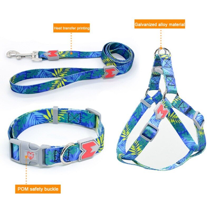 Quick Release Harness with Leash