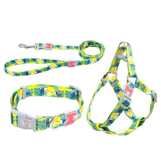 Quick Release Harness with Leash