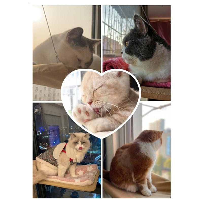 Cat Hammock Hanging Bed (20kg limit)