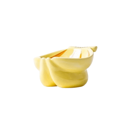Ceramic Elevated Pet Food Bowl - Banana