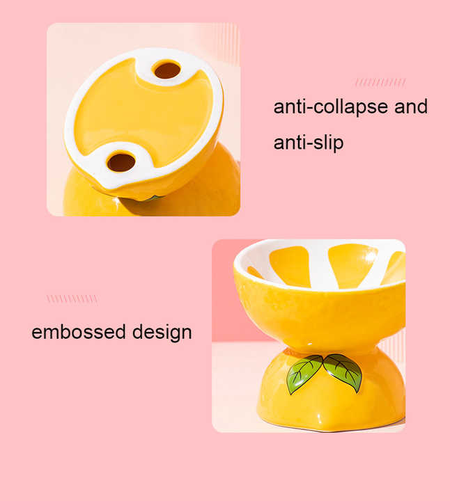 Ceramic Elevated Pet Food Bowl - Pitaya