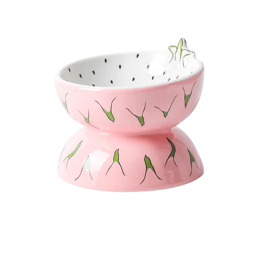 Ceramic Elevated Pet Food Bowl - Pitaya