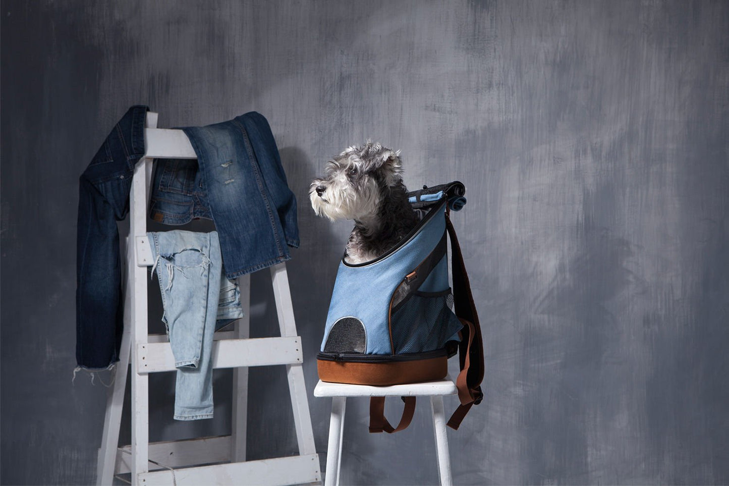 Denim Lightweight Pet Backpack