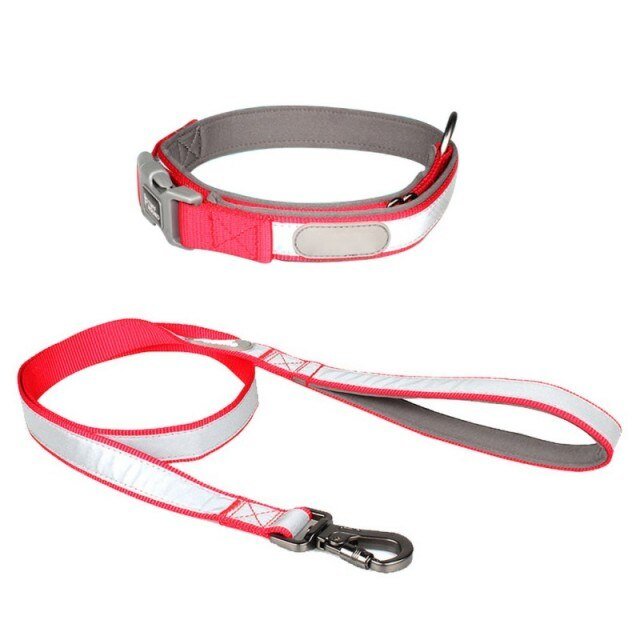 Reflective Collar & Leash Set