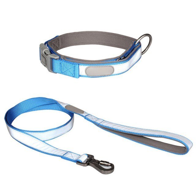 Reflective Collar & Leash Set