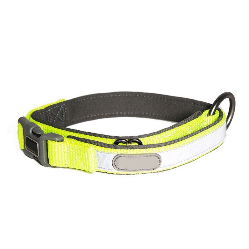 Reflective Collar & Leash Set