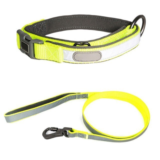 Reflective Collar & Leash Set