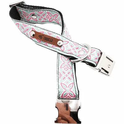 Finnigan's Signature Dog Collar Set