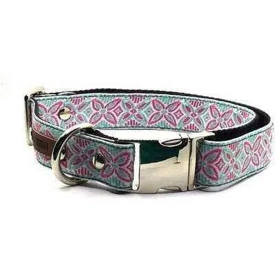 Finnigan's Signature Dog Collar Set