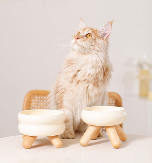 Gulu Ceramic Pet Water Bowl