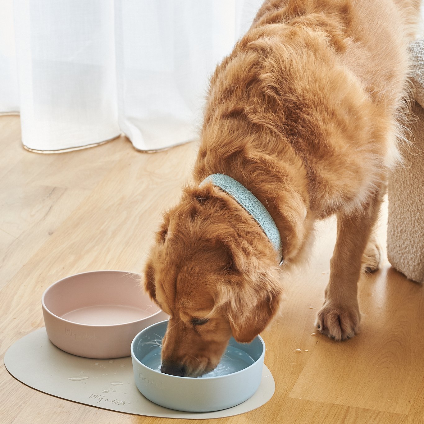 Pastel Pet Bowl