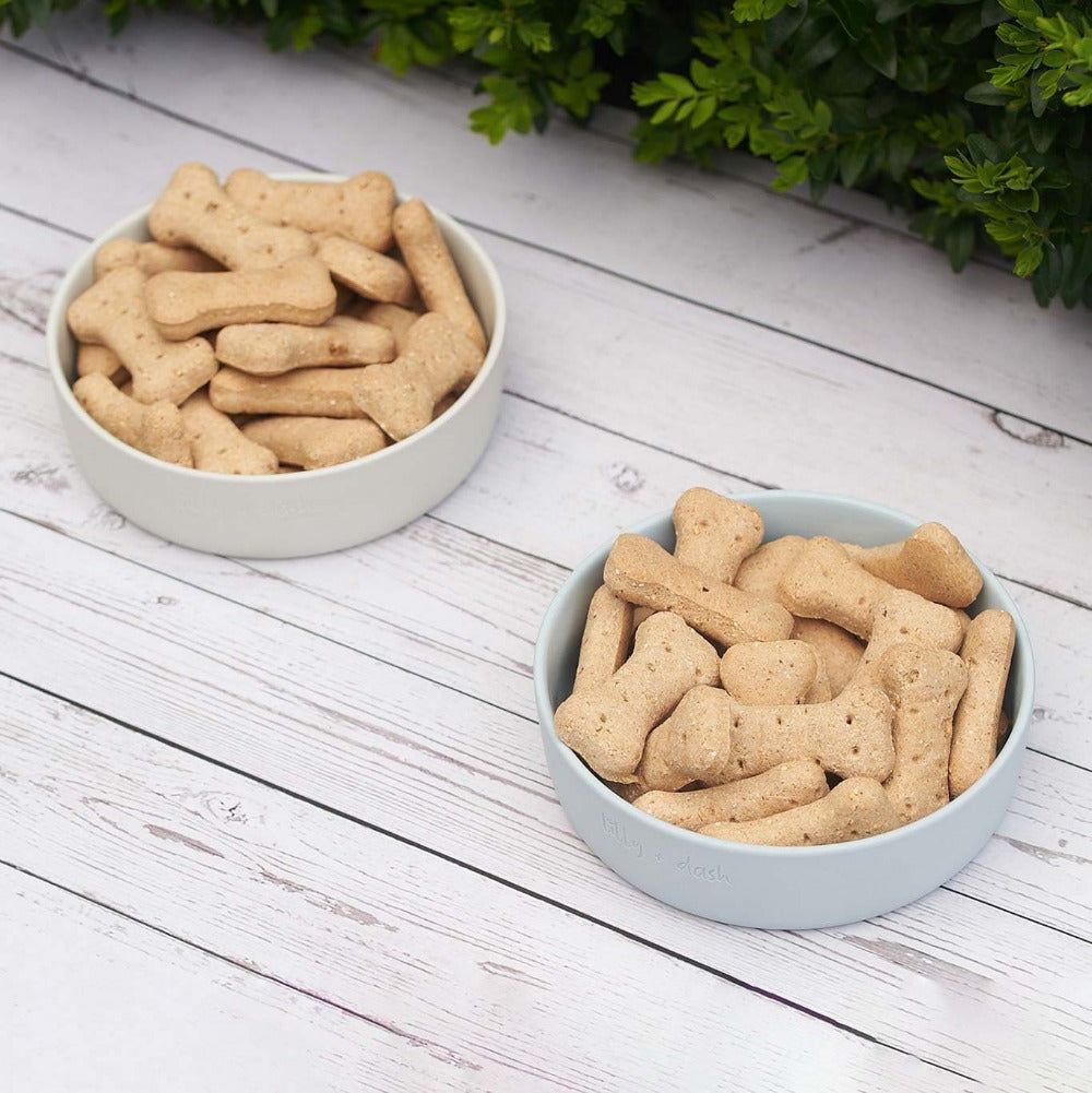 Pastel Pet Bowl