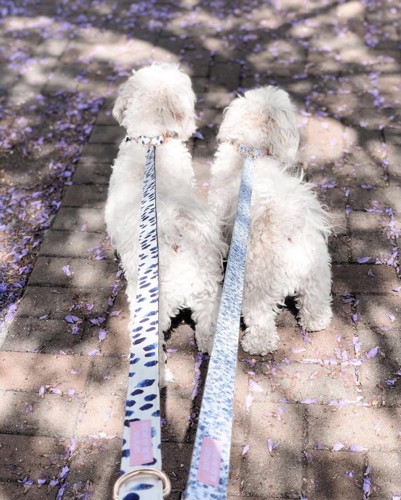 Polka Dot Bow Collar & Lead Set